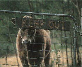 Old Nerrigundah Settlement Trail - Hervey Bay Accommodation 1