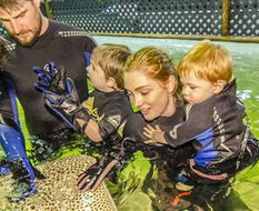 Book Boat Harbour NSW Attractions Hervey Bay Accommodation Hervey Bay Accommodation