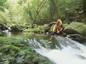 Lower Ballanjui Falls - Tourism Hervey Bay 0