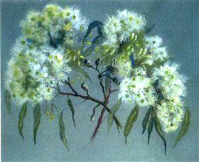 Norma Holt Studio Gallery - Hervey Bay Accommodation 1