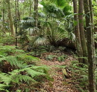 Durras Lake Discovery trail - Hervey Bay Accommodation