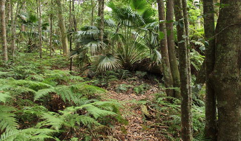 Durras Lake Discovery Trail - Tourism Hervey Bay 0