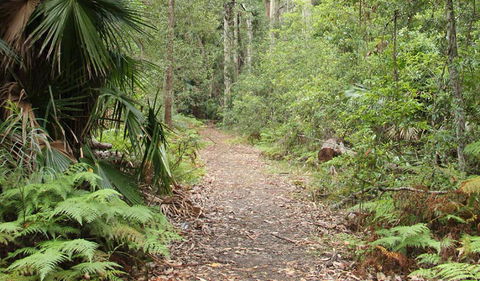 Durras Lake Discovery Trail - Tourism Hervey Bay 1