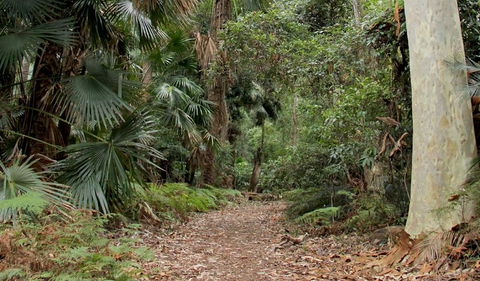 Durras Lake Discovery Trail - Tourism Hervey Bay 2