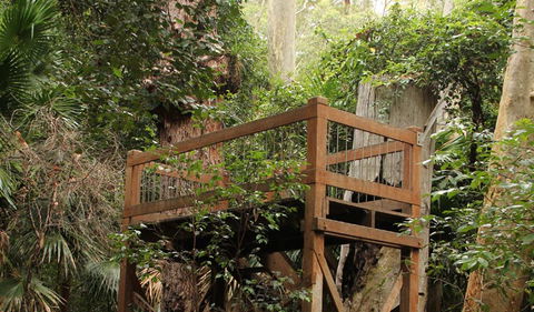 Durras Lake Discovery Trail - Tourism Hervey Bay 3