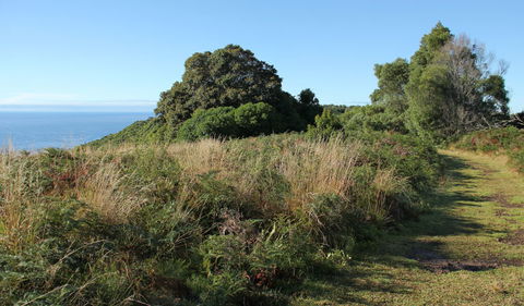 Pretty Beach To Durras Mountain Walking Track - Hervey Bay Accommodation 2