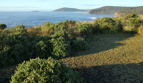 Pretty Beach To Durras Mountain Walking Track - Hervey Bay Accommodation 3