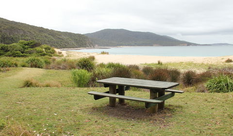 Depot Beach Picnic Area - Hervey Bay Accommodation 0