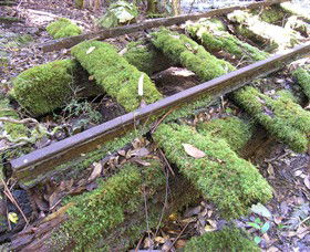 Wootton Historical Railway Walk - Tourism Hervey Bay 0