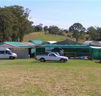 Tinonee Orchid Nursery - Hervey Bay Accommodation