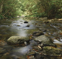 Plateau Circuit loop trail - Hervey Bay Accommodation