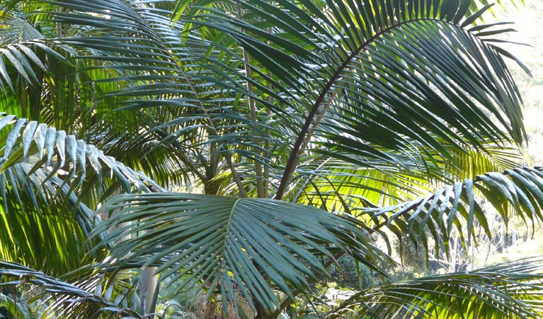Brooklana NSW Hervey Bay Accommodation