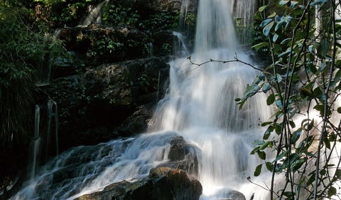 Bangalore Falls Walking Track - Hervey Bay Accommodation 3