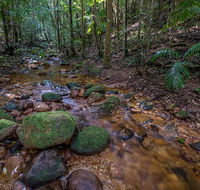 Starrs Creek picnic area - Hervey Bay Accommodation