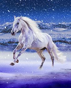 Australian Outback Spectacular: High Country Legends - Hervey Bay Accommodation 1