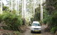 Bindarri National Park - thumb 2