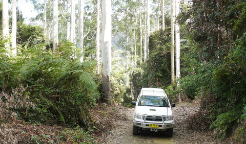 Bindarri National Park - Hervey Bay Accommodation 2