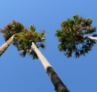 Bindarri National Park - Hervey Bay Accommodation