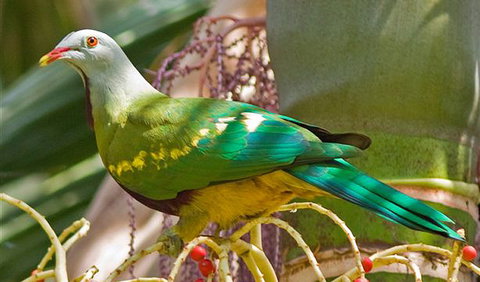 Bindarri National Park - Hervey Bay Accommodation 3