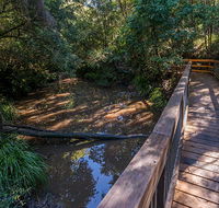 Ms Kellys walking track - Hervey Bay Accommodation