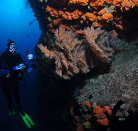 Gotham City Dive Site - Hervey Bay Accommodation