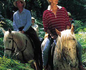 Clarendon Forest Retreat Horse Riding - Hervey Bay Accommodation 2