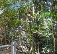 Goorgana walking track - Hervey Bay Accommodation