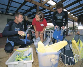 Dolphin Discovery Centre - Hervey Bay Accommodation 1