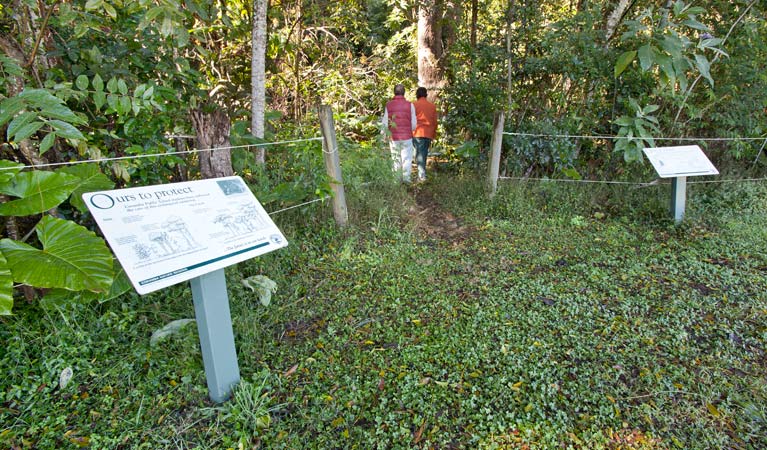 Coramba NSW Hervey Bay Accommodation