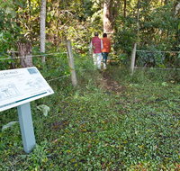 Rainforest walk - Hervey Bay Accommodation