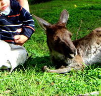 Bunbury Wildlife Park - Hervey Bay Accommodation