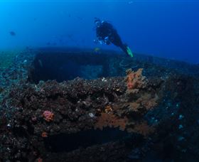 Cementco Dive Site - Hervey Bay Accommodation 3