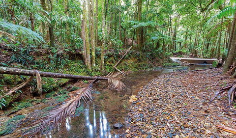 Ulidarra National Park - Hervey Bay Accommodation 0
