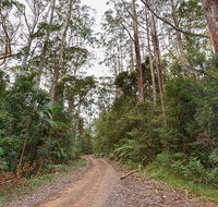 End Peak walking track - Hervey Bay Accommodation