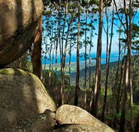 Mount Gulaga Mount Dromedary Walk - Hervey Bay Accommodation