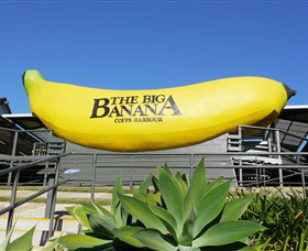 The Big Banana - Hervey Bay Accommodation 0