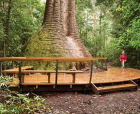 Herons Creek NSW Hervey Bay Accommodation
