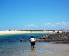 Coffs Coast State Park - Hervey Bay Accommodation 2