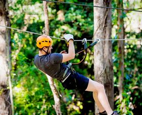 TreeTop Challenge Currumbin - Hervey Bay Accommodation 0