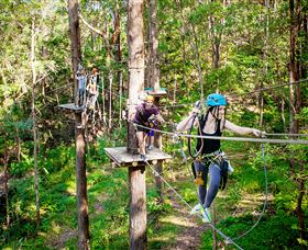 TreeTop Challenge Currumbin - Hervey Bay Accommodation 1