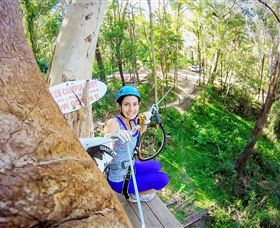 TreeTop Challenge Currumbin - Hervey Bay Accommodation 3