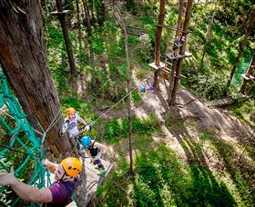 TreeTop Challenge Currumbin - Hervey Bay Accommodation 2