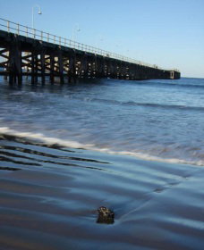 Jetty Beach - Hervey Bay Accommodation 0