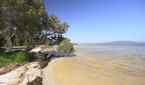 Booti Booti National Park - Hervey Bay Accommodation 1