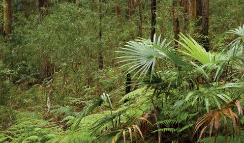 Booti Booti National Park - Hervey Bay Accommodation 2