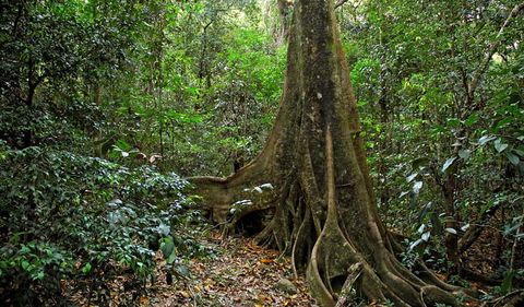 Iluka Nature Reserve - Hervey Bay Accommodation 2