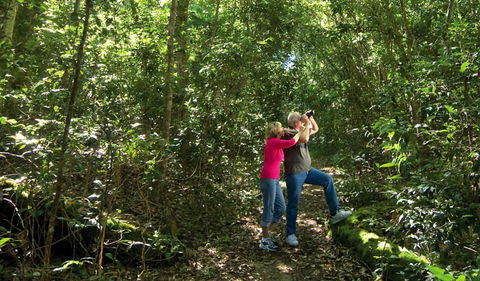 Iluka Nature Reserve - Hervey Bay Accommodation 0
