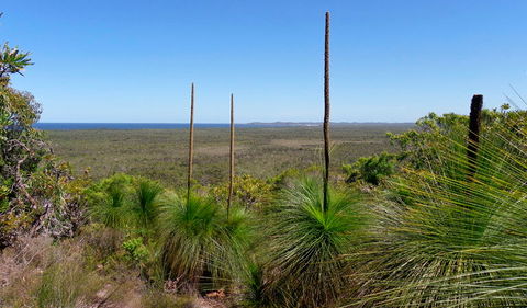 Broadwater National Park - Hervey Bay Accommodation 1
