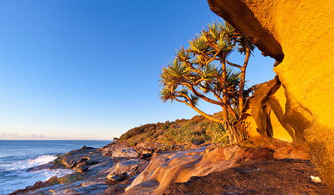 Angourie To Brooms Head - Tourism Hervey Bay 1