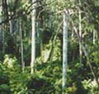 Lind National Park - Hervey Bay Accommodation